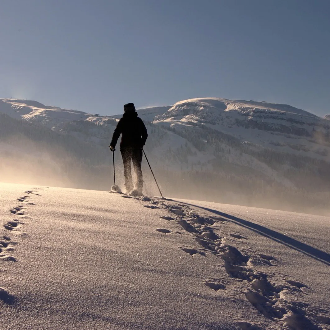 Trekking Batonu Çifti